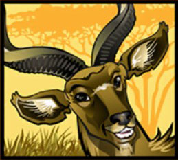 Kudu Symbol